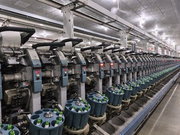 Cina Wuxi Delicate Textile Technology Co ., Ltd . Profil Perusahaan