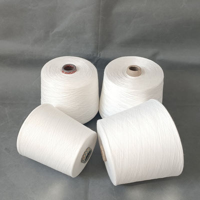 Viskosa Campuran Nylon Garment Crochet mentah disikat 5Ply Warna Kegel Susu Kashmere Seperti 100 murni Acrylic Spun Garment