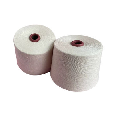 Viskosa Campuran Nylon Garment Crochet mentah disikat 5Ply Warna Kegel Susu Kashmere Seperti 100 murni Acrylic Spun Garment