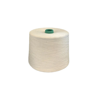 120D/2 Vortex 50% Campuran 16S Diwarnai 30S/1 Fancy Ring Spun Yarn High Tenacity Viscose Rayon Yarn