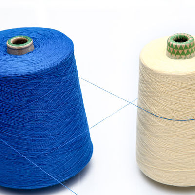 Tenancy Garment 210D Weft Polyester Yarn 75D 402 RING SPUN Monofilament Yarn